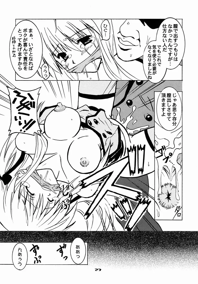 Schwarze Katze シュヴァルツェカッツェ - page22