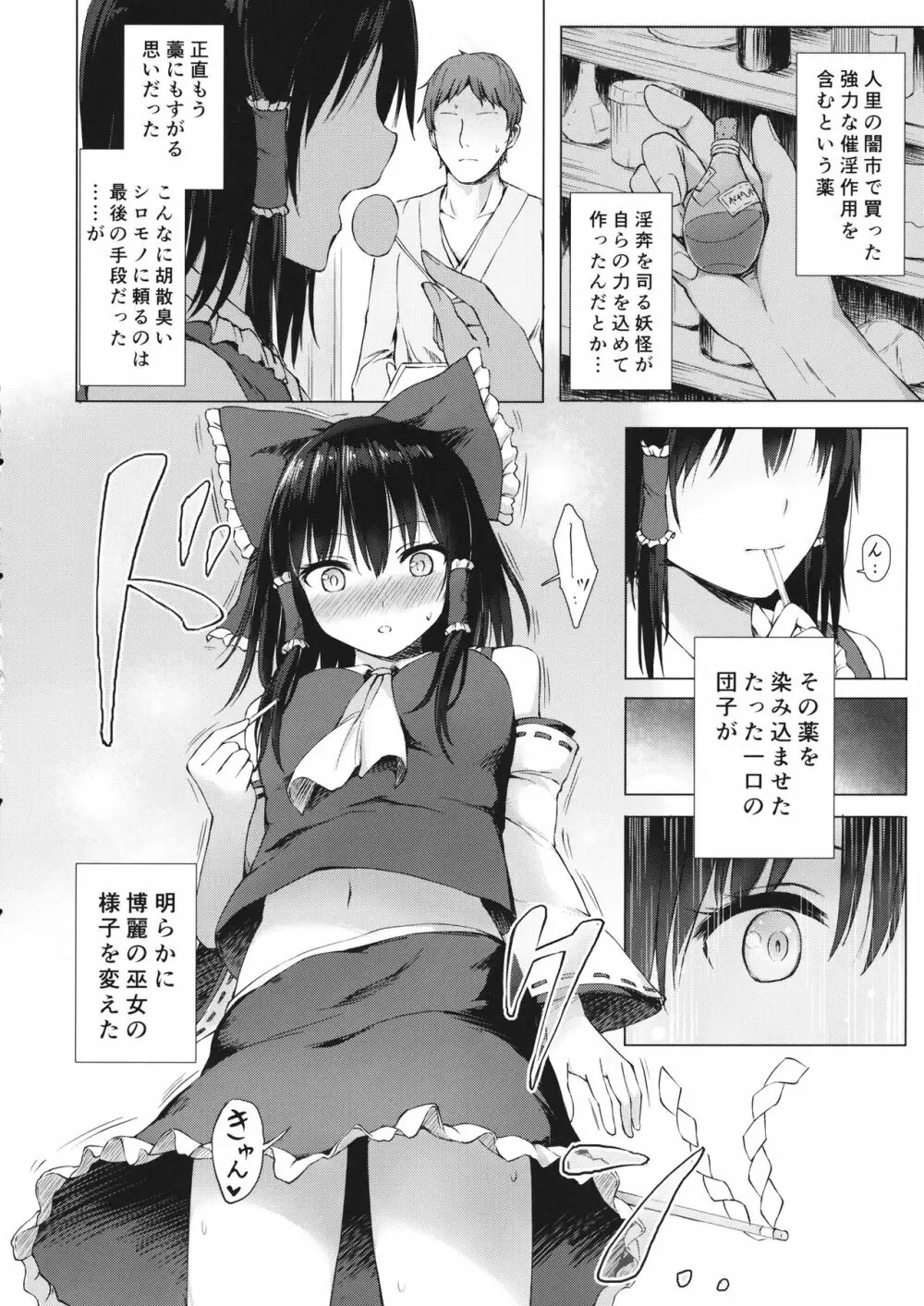 博麗の巫女の堕としかた - page3