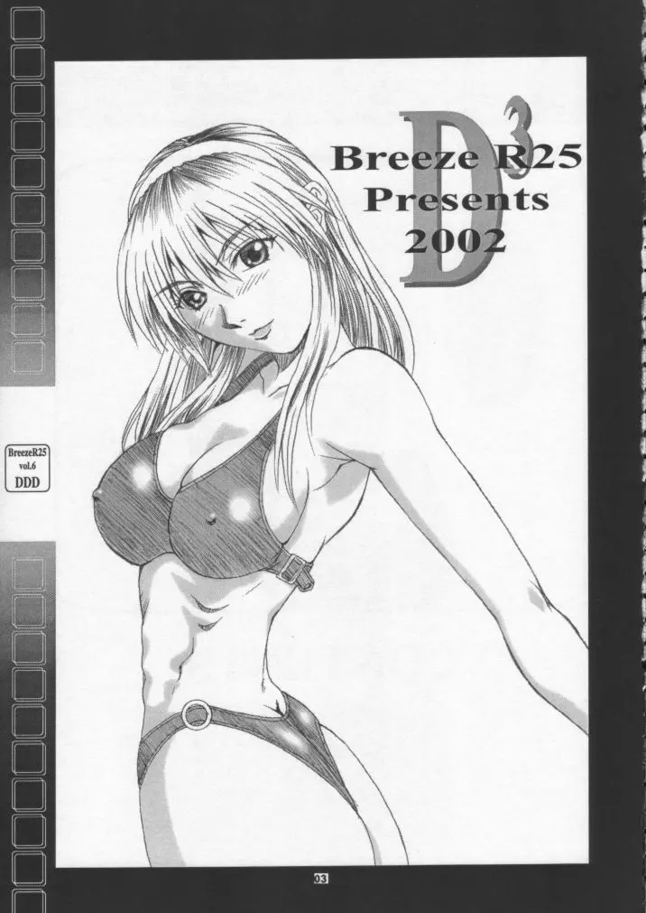 R25 Vol.6 D^3 - page2