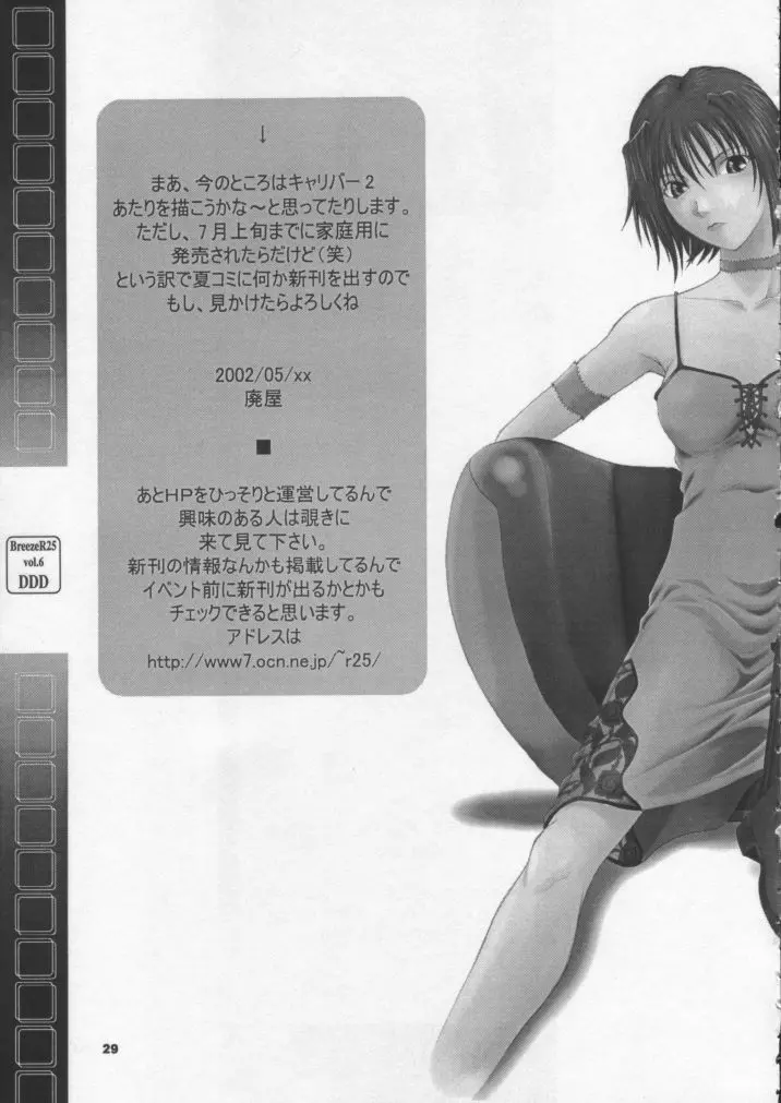 R25 Vol.6 D^3 - page28