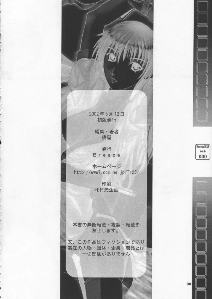 R25 Vol.6 D^3 - page29