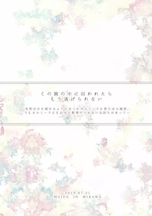 不器用なCaprice - page2