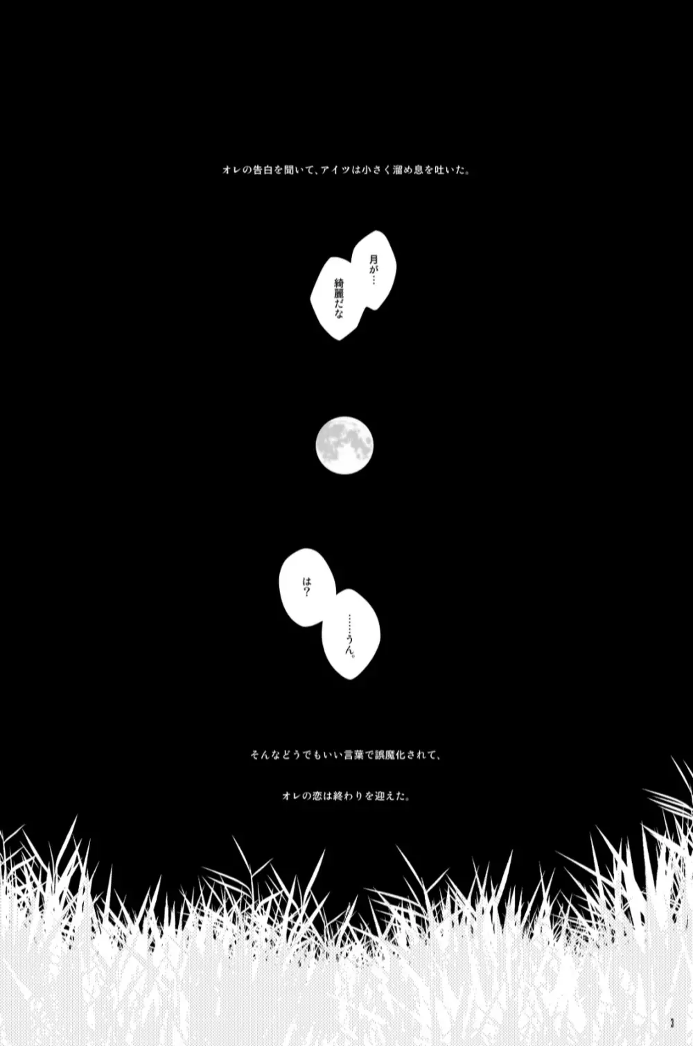 STRAWBERRY-FIELDS - page2