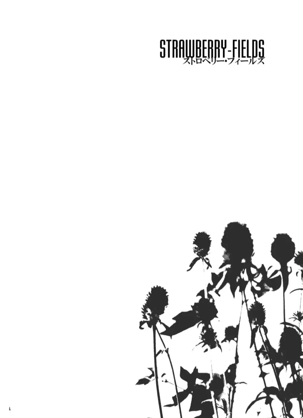 STRAWBERRY-FIELDS - page3