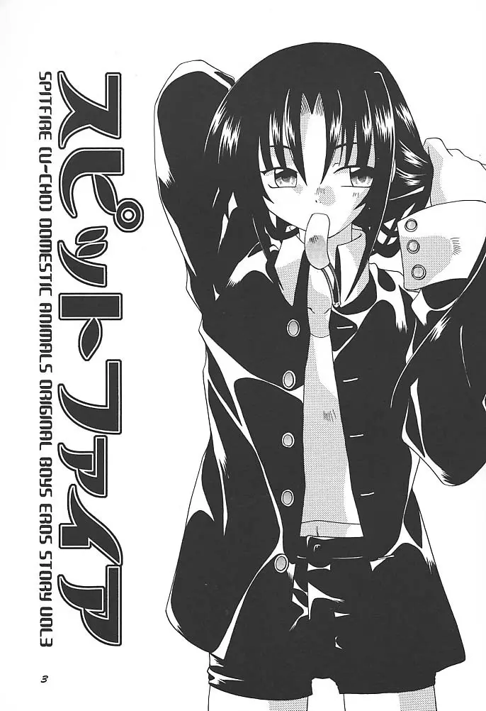 スピットファイア - page2