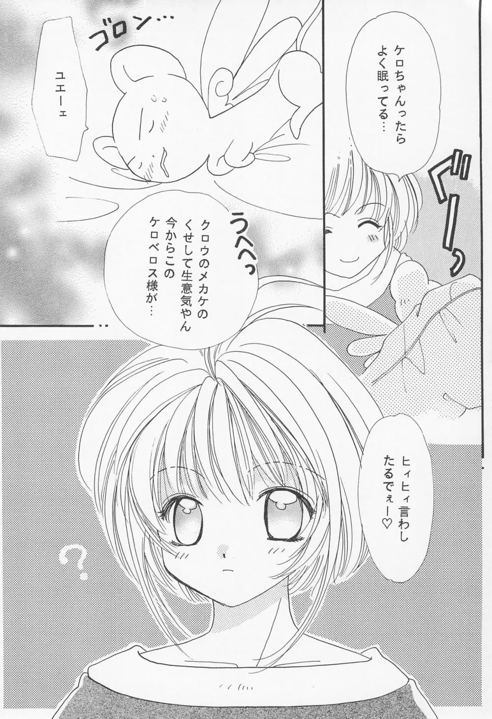 ROSDE CONARY BIRD カナリーバード - page26