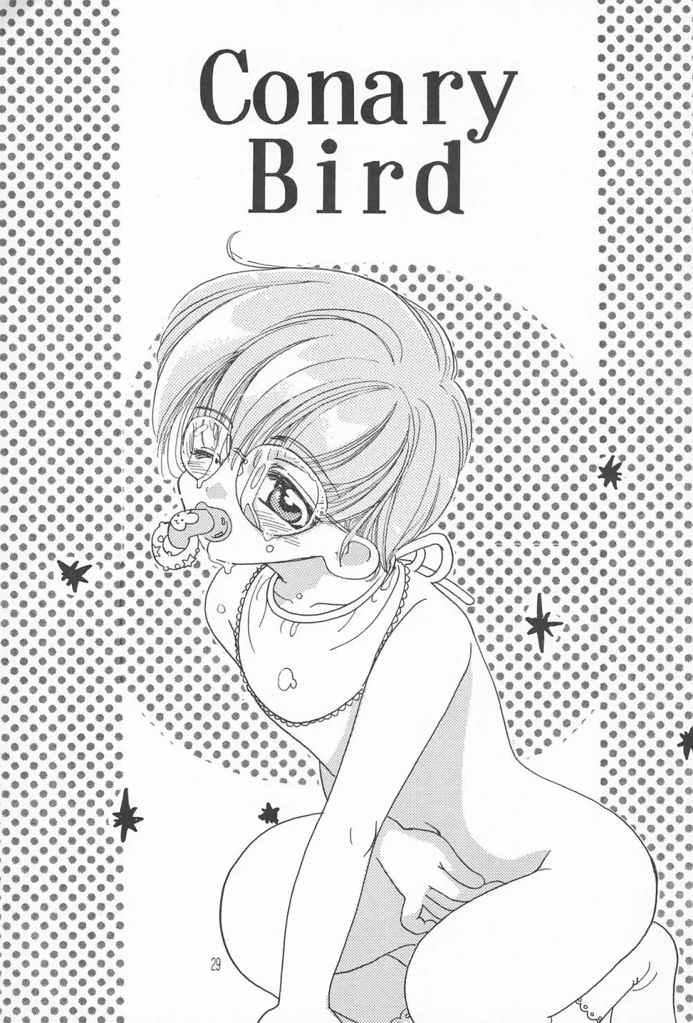 ROSDE CONARY BIRD カナリーバード - page29