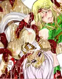 [PURUMERIA] Ashy elf (DOUJIN) - Record of Lodoss War - page18