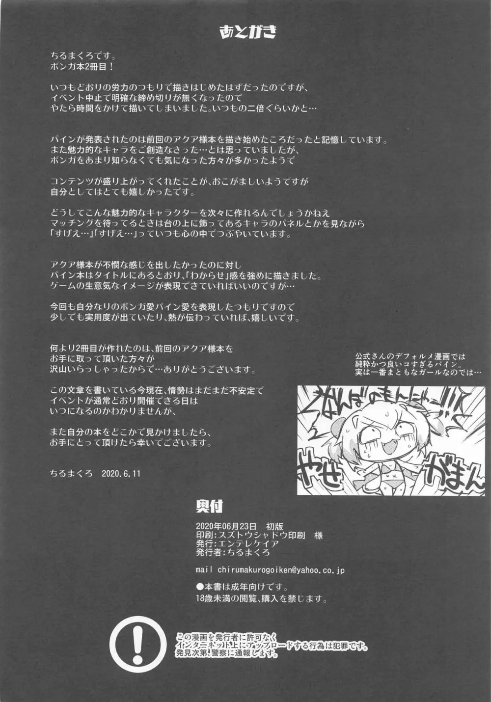 パインにわからせる本 - page33