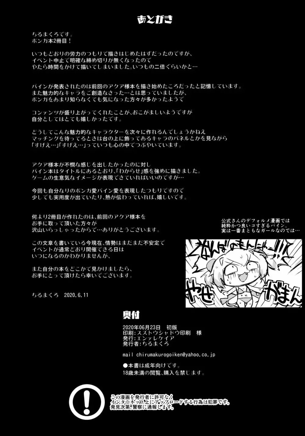 パインにわからせる本 - page33