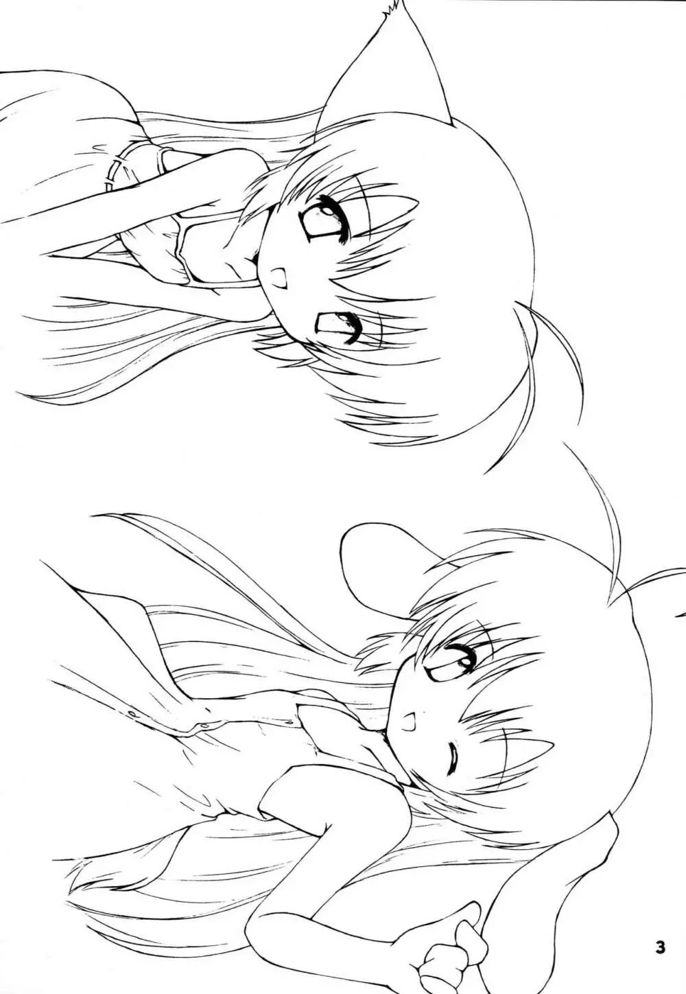 はじめてのネコミミ - page2