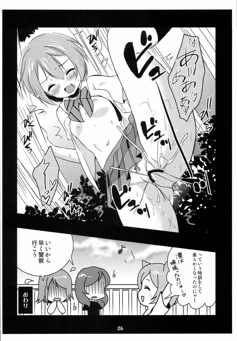 ラブライブファンブック - page25