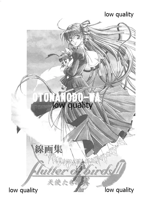 flutter of birdsII 天使たちの翼 線画集 - page2