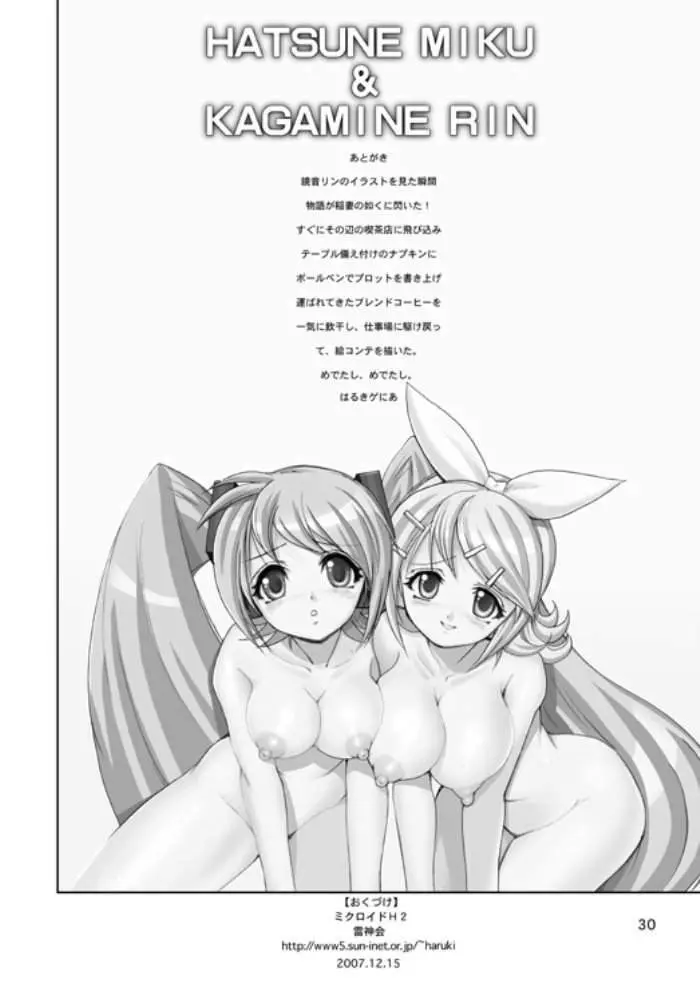 ミクロイドH2 - page29