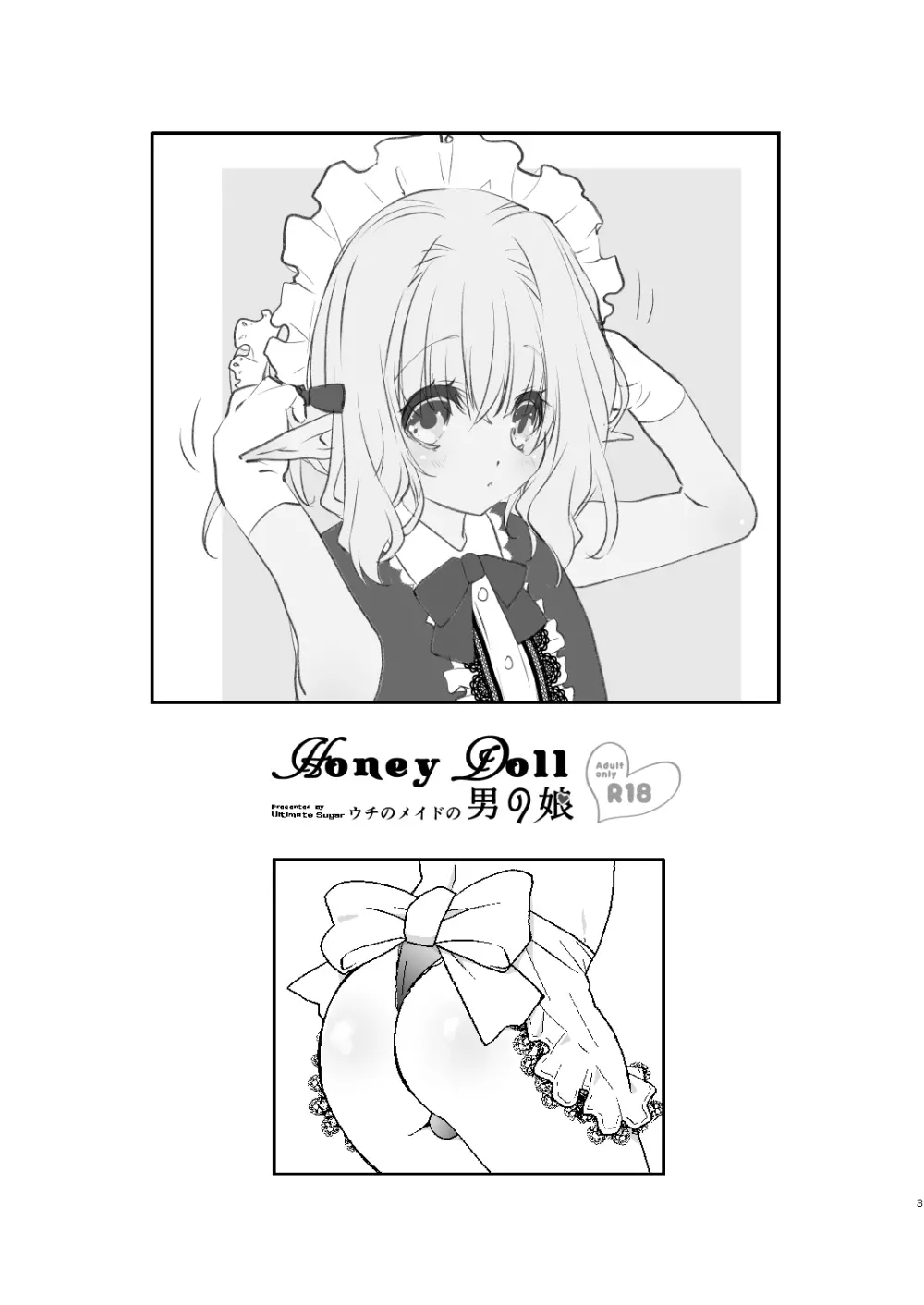 Honey Doll -ウチのメイドの男の娘- - page2