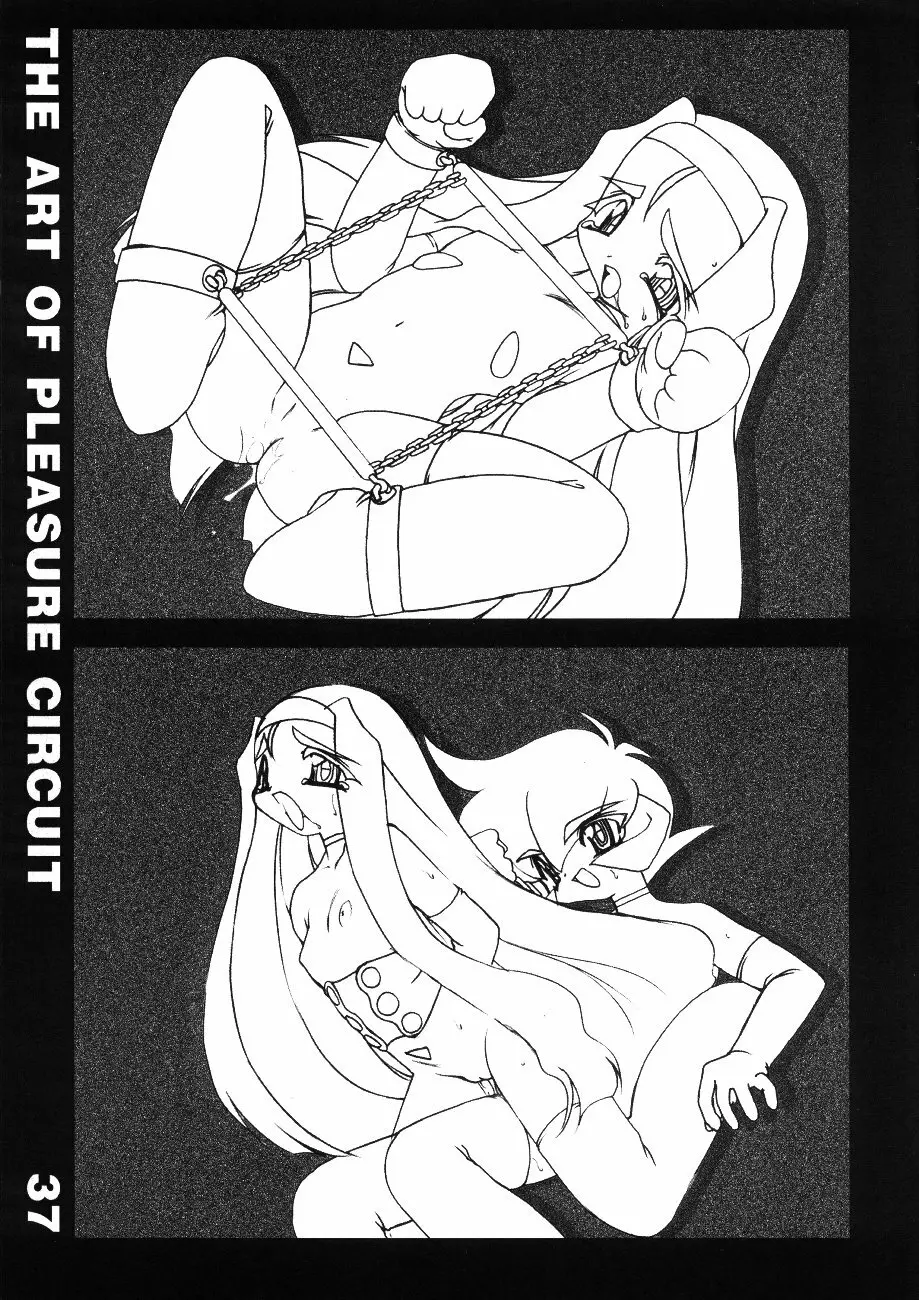 The Art of Pleasure Circuit - page38