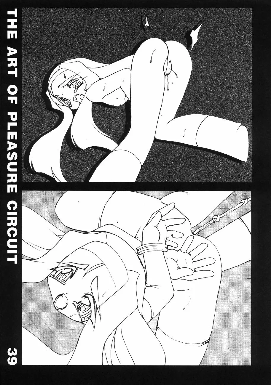The Art of Pleasure Circuit - page40
