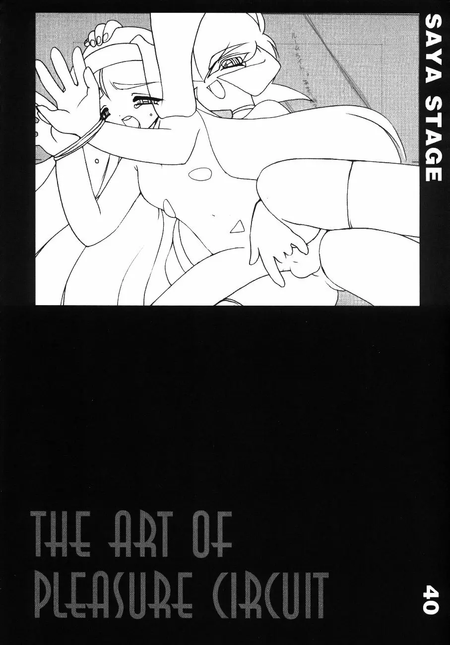 The Art of Pleasure Circuit - page41