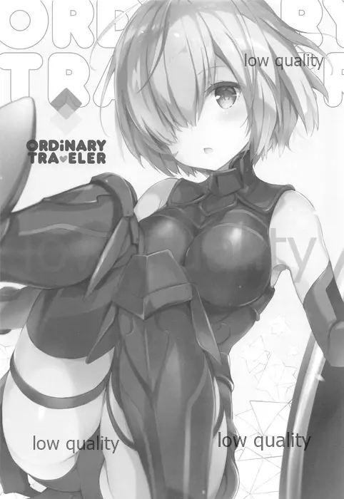 ORDiNARY TRAVELER QPCHICK #001 - page2