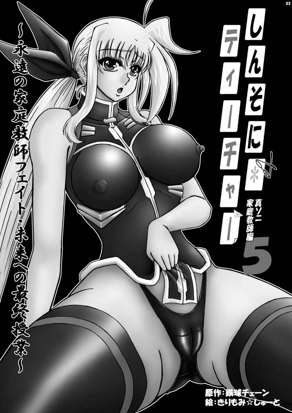 しんそに☆ティーチャー ～真ソニ家庭教師編5～ - page2