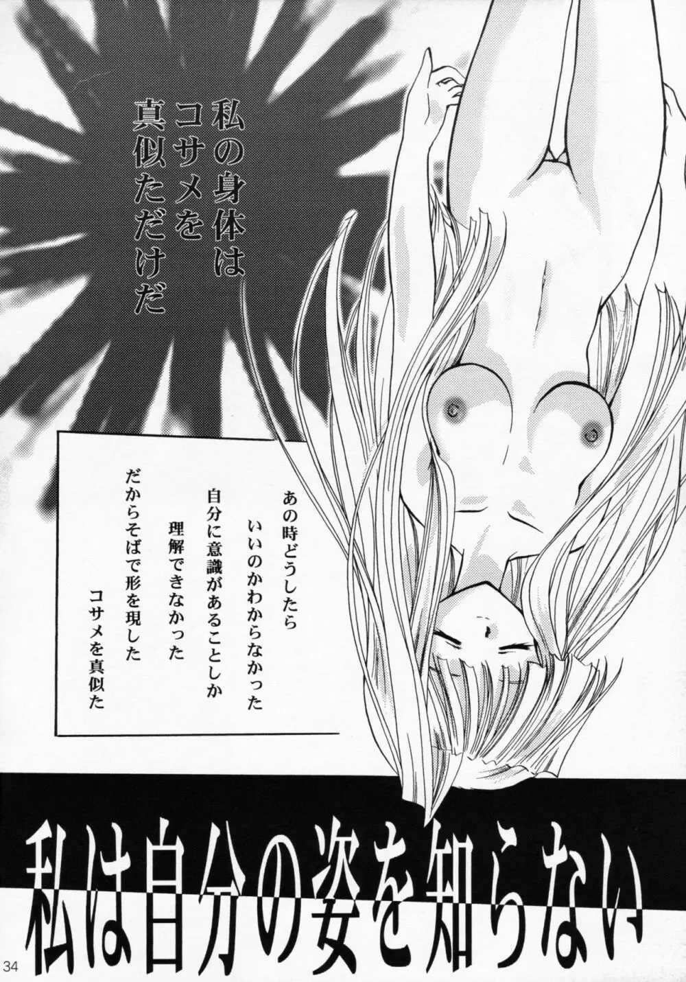 王女様とマスターシュ - page33