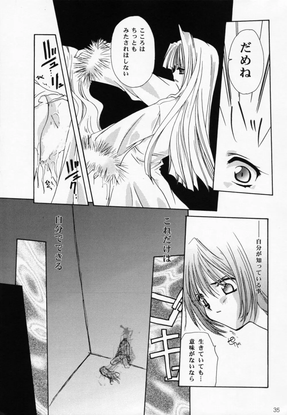 王女様とマスターシュ - page34