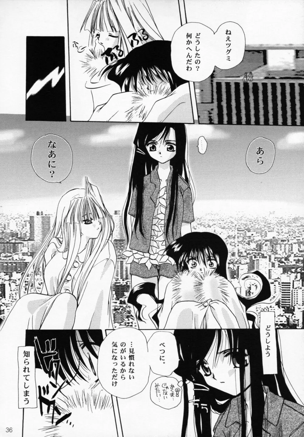 王女様とマスターシュ - page35