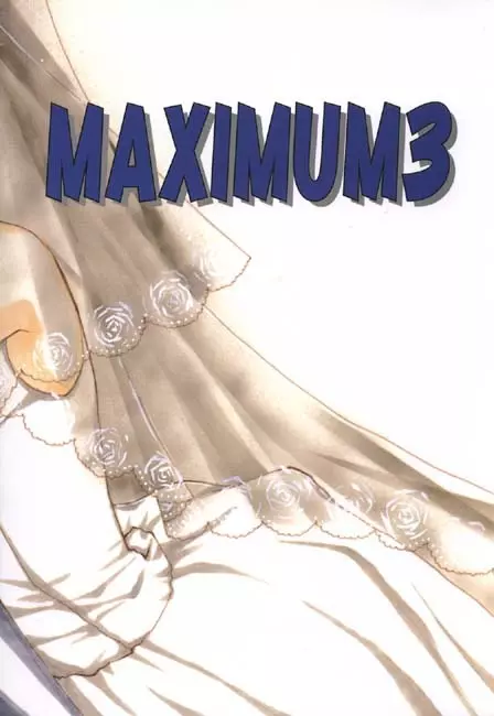 MAXIMUM 3 - page41