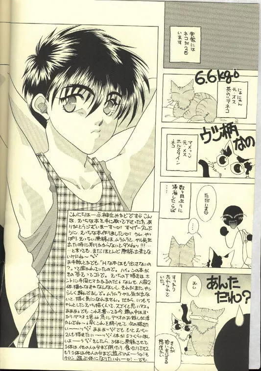 Skin Ship スキンシップ - page3