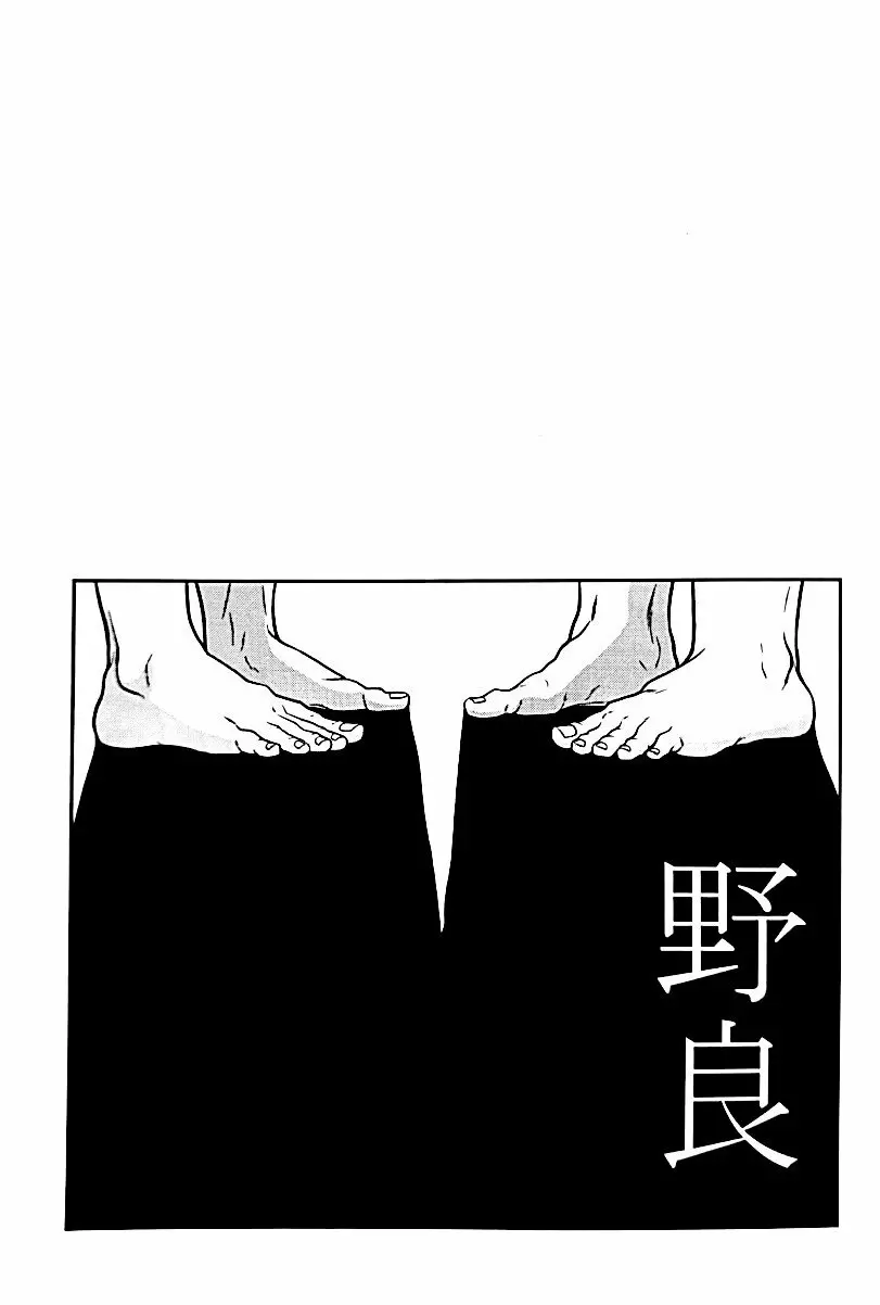 野良 - page4