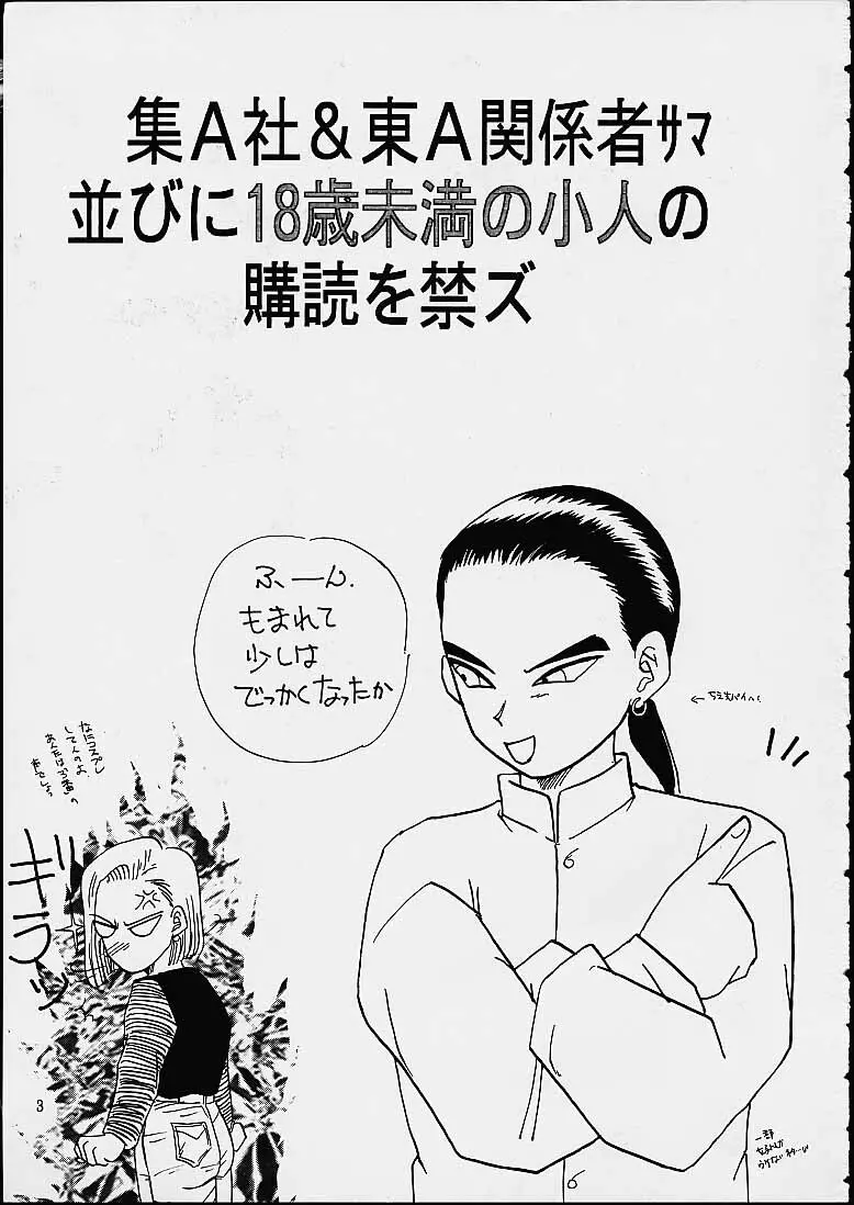 Z - page3