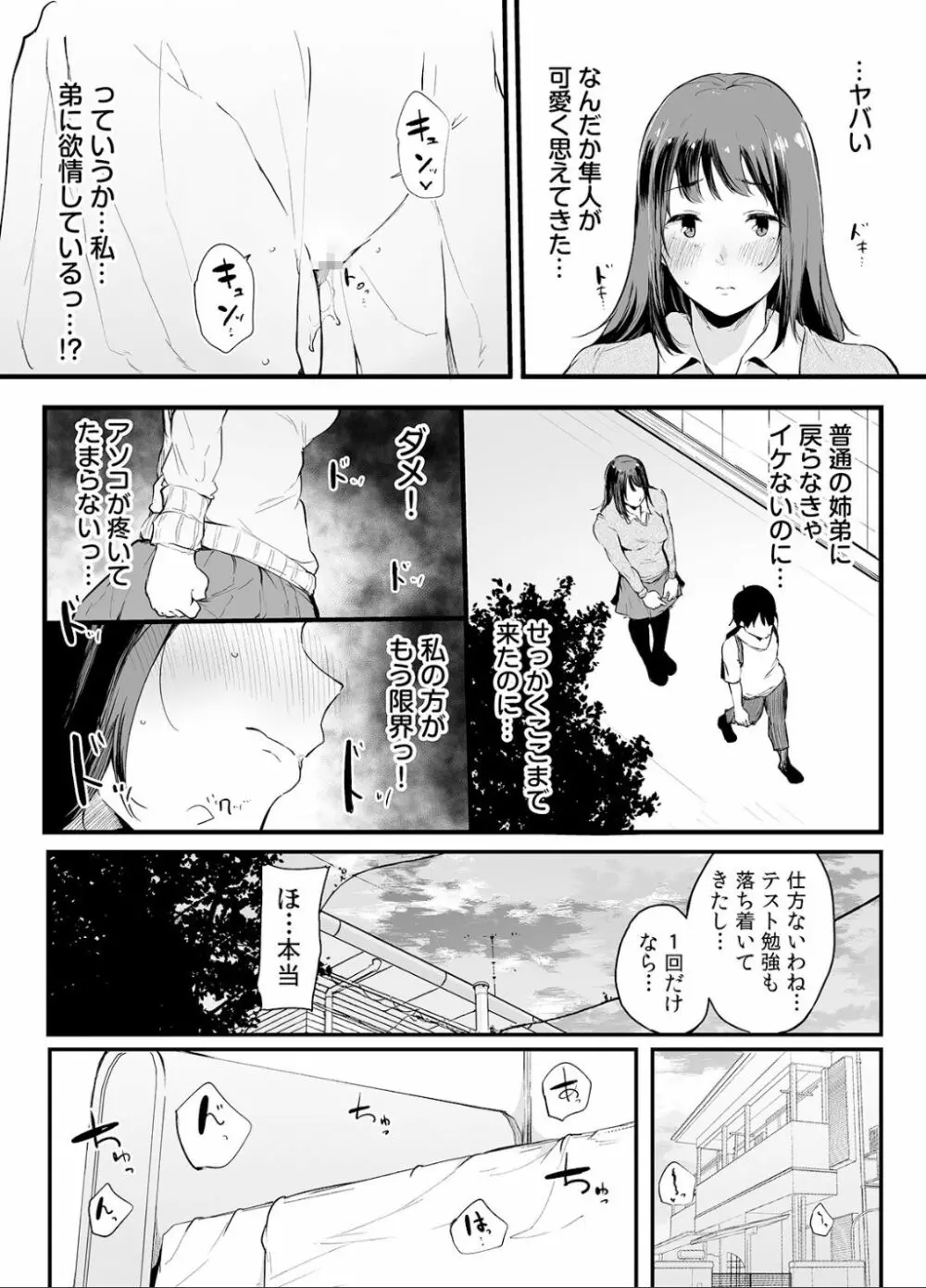 弟にエロ漫画と同じ事をされちゃうお姉ちゃんの話 2 - page45