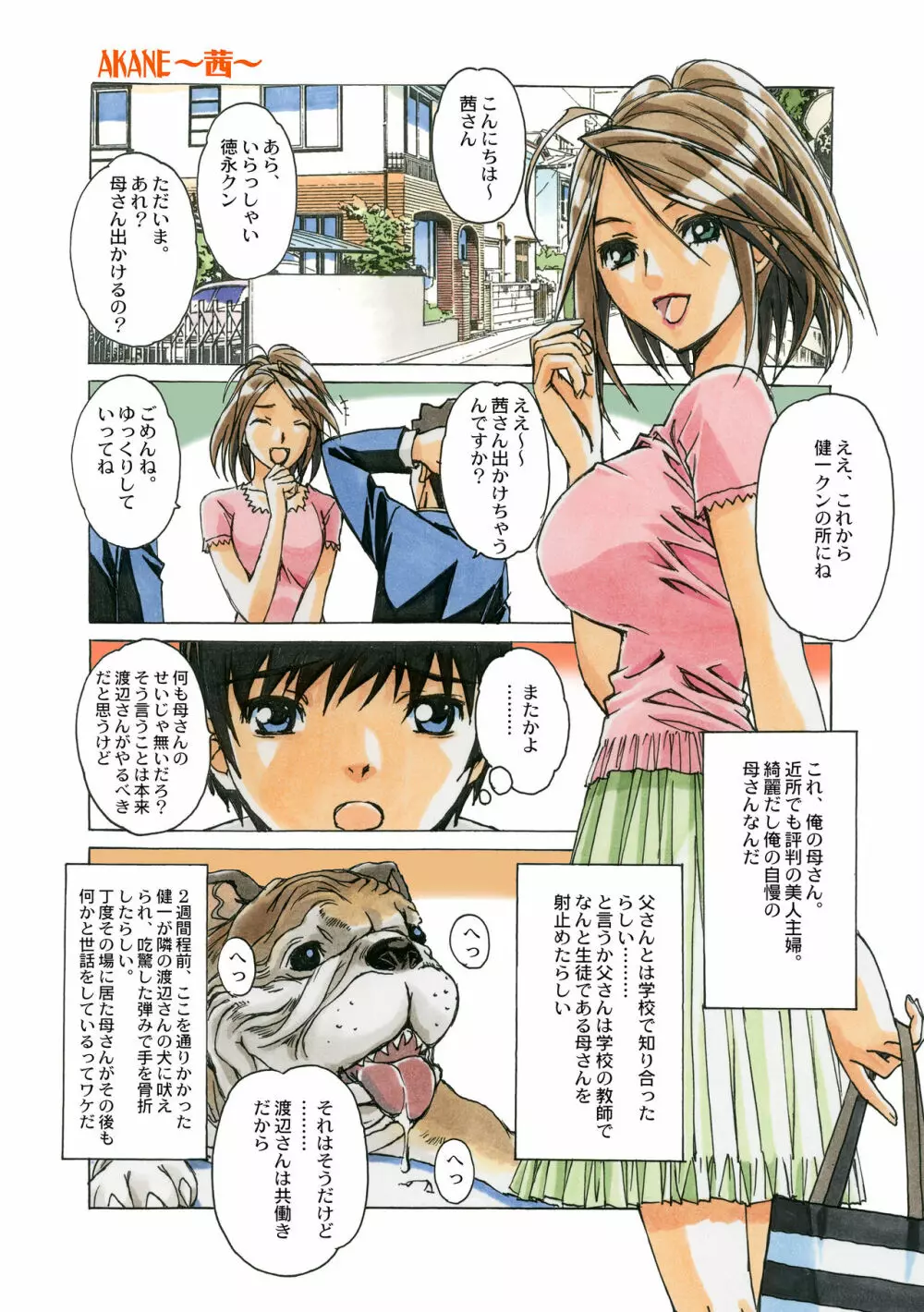 AKANE茜 カラーバージョン - page3