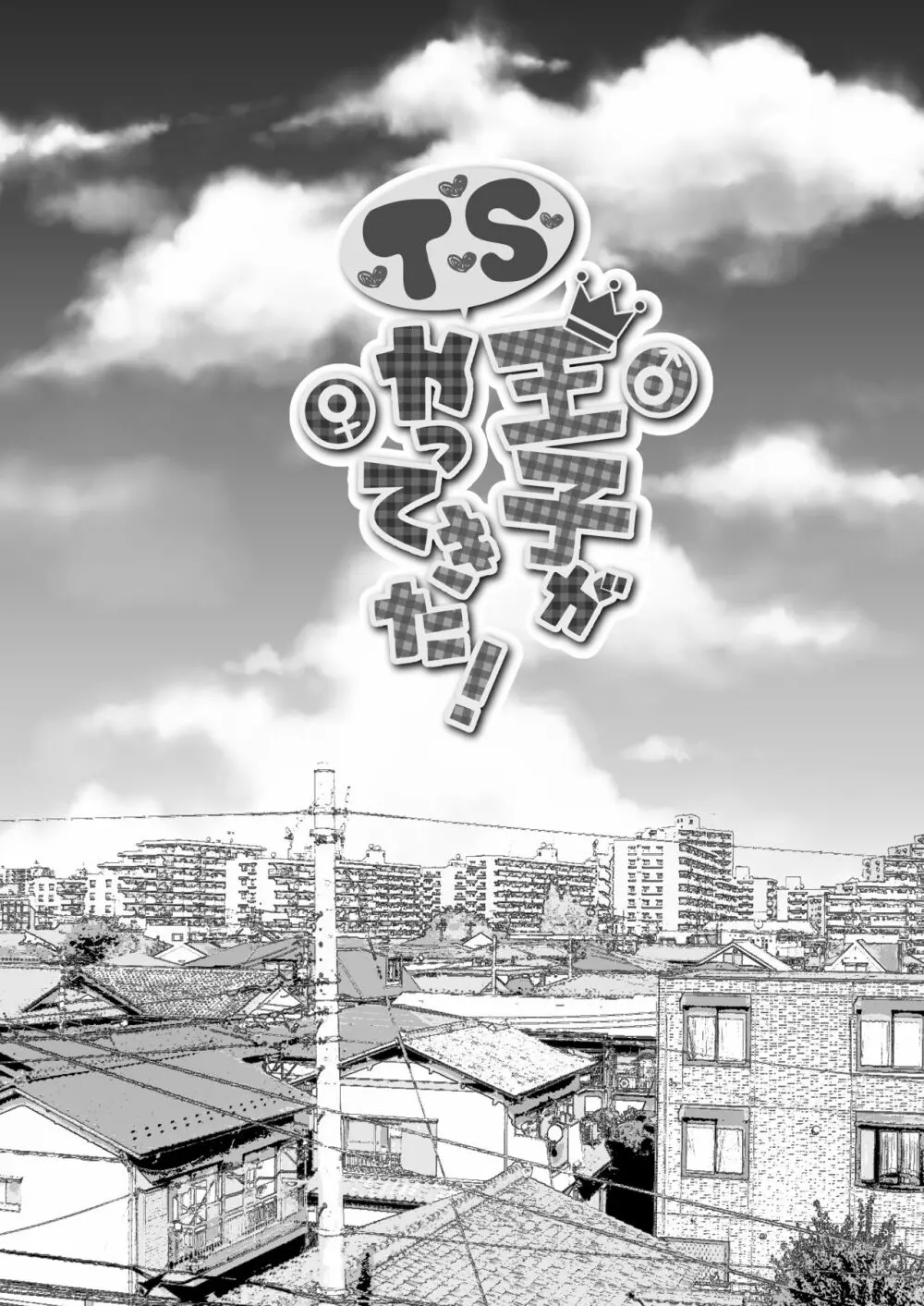 TS王子がやってきた! - page40