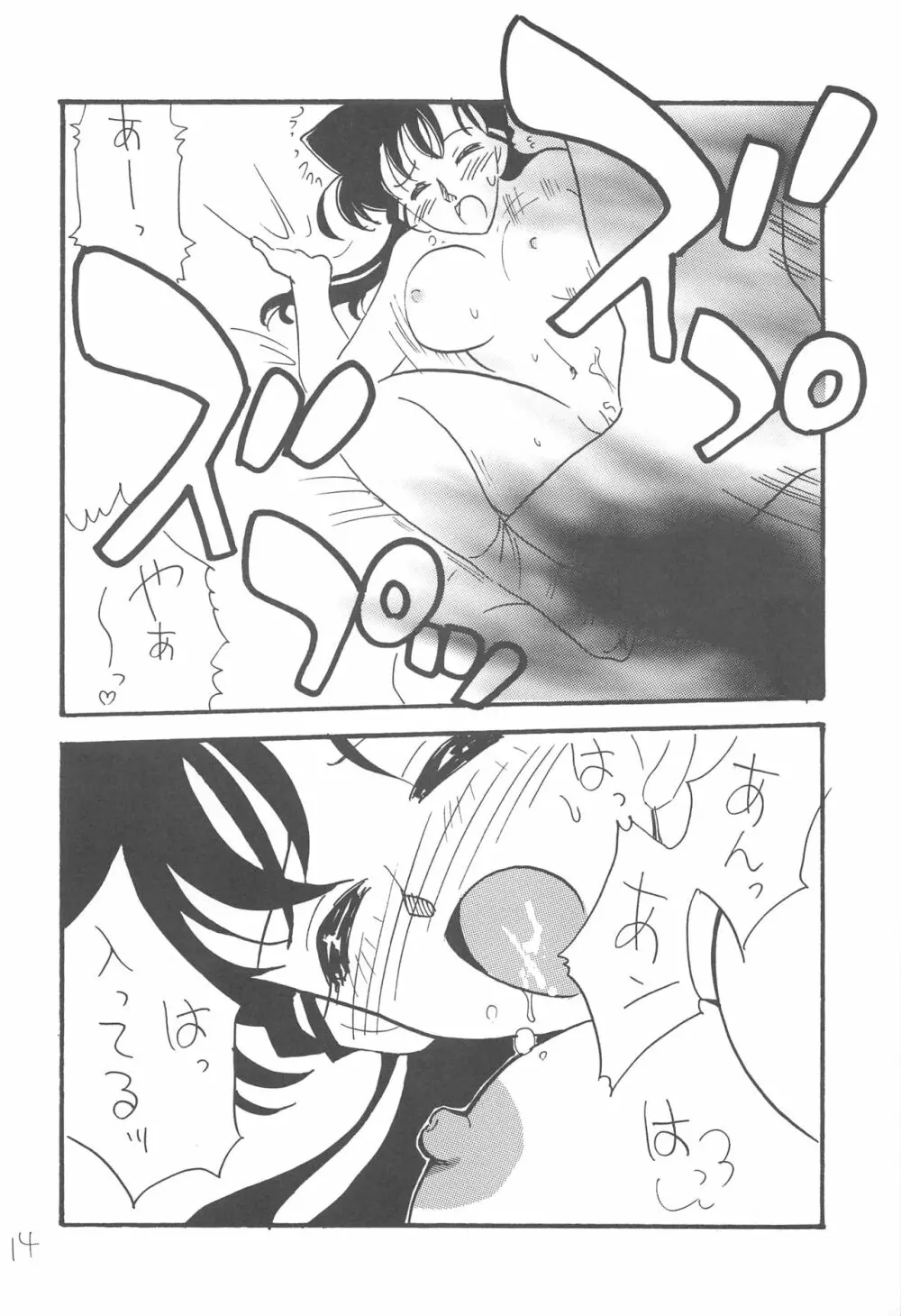 R - page13