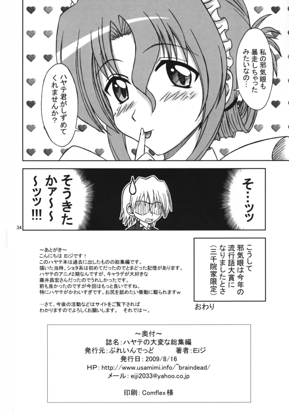 ハヤテの大変な総集編 - page33