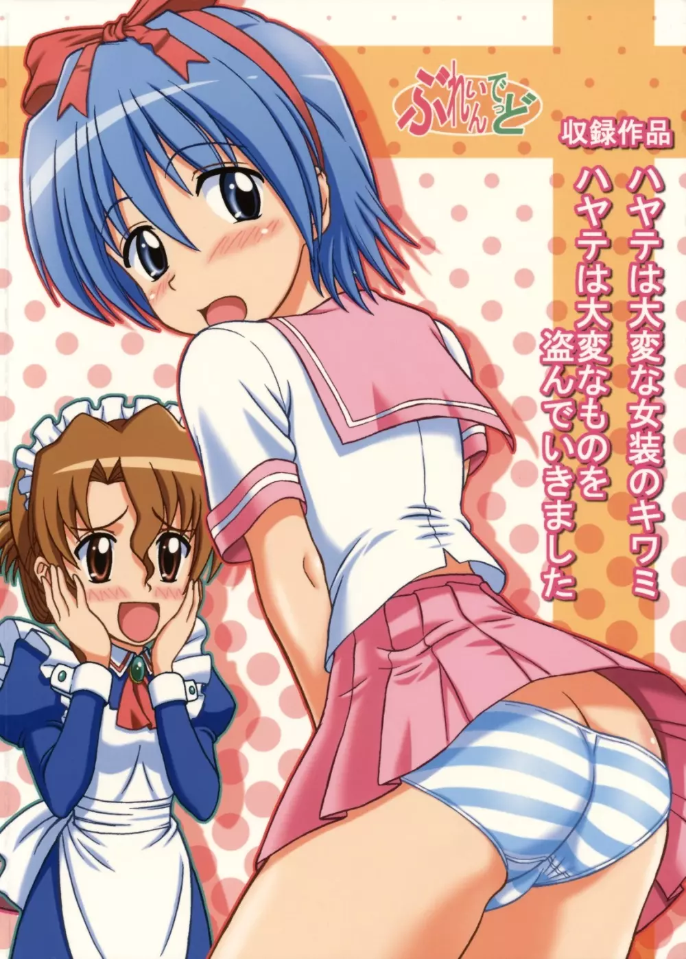 ハヤテの大変な総集編 - page34