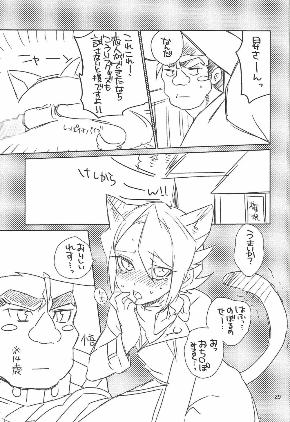 ハヤブサノヨメイリ - page27