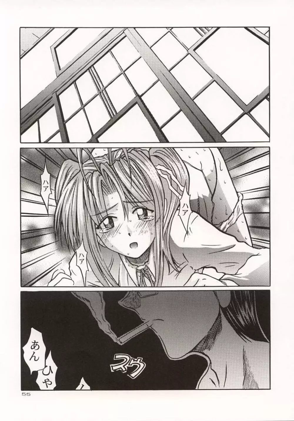 (C57) [GOLD RUSH (鈴木あどれす)] ~wall~ (エクセルサーガ , ラブひな) - page54