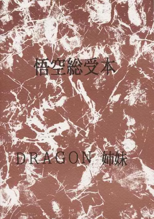 DEEP 悟空総受本 - page2