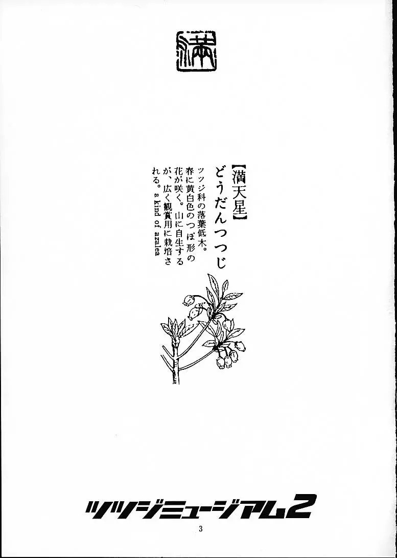 ツツジミュージアム2 満天星第二作品集 - page2