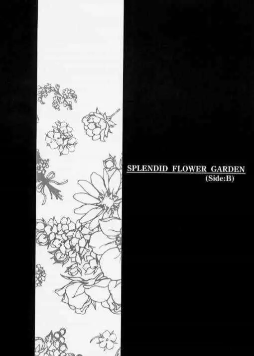 SPLENDID FLOWER GARDEN - page14