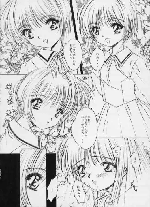 SPLENDID FLOWER GARDEN - page15
