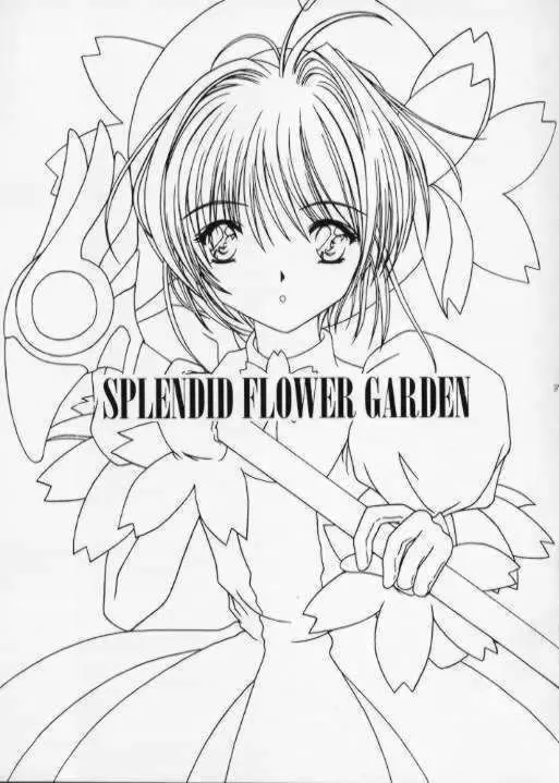 SPLENDID FLOWER GARDEN - page2