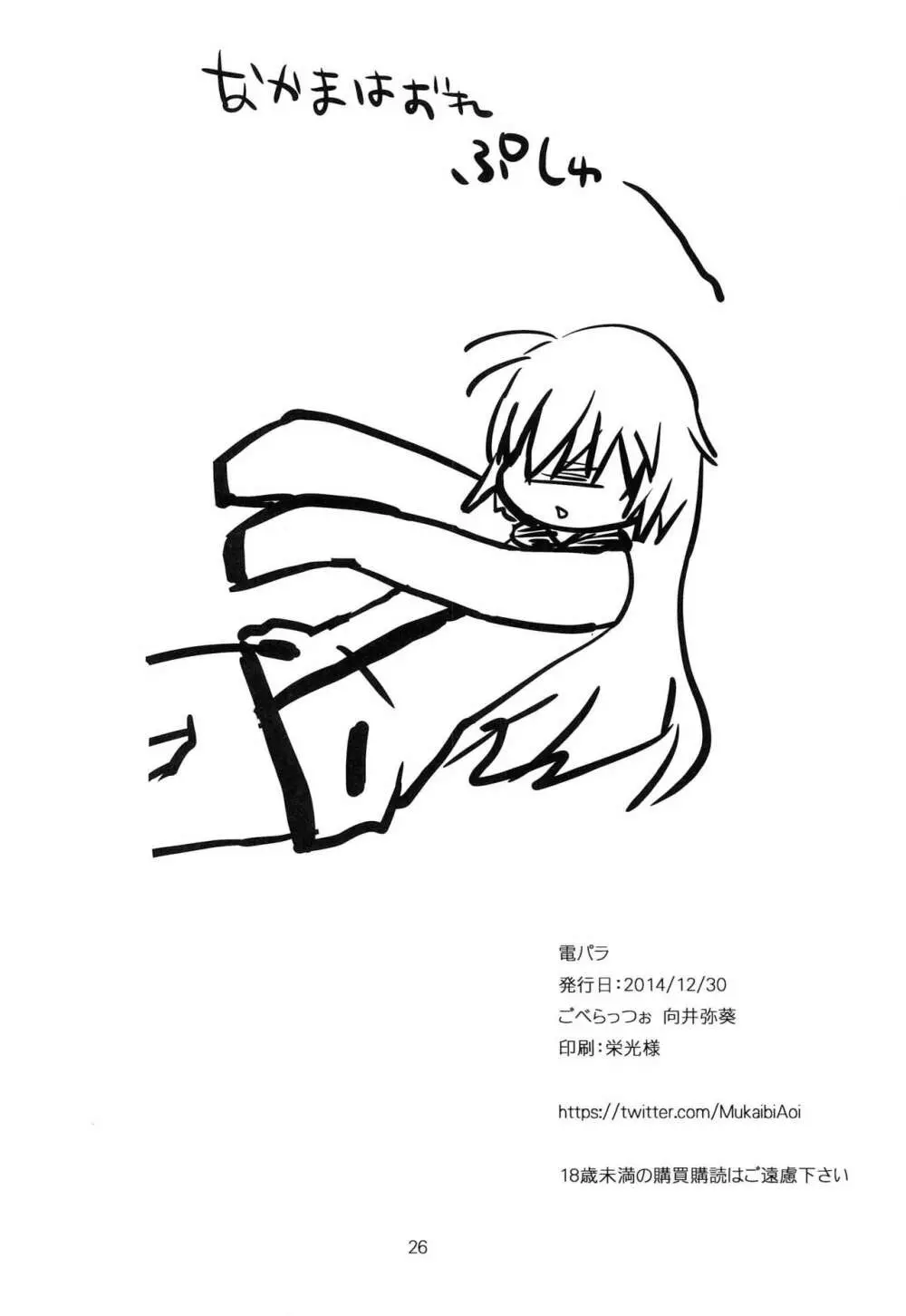 電パラ - page25