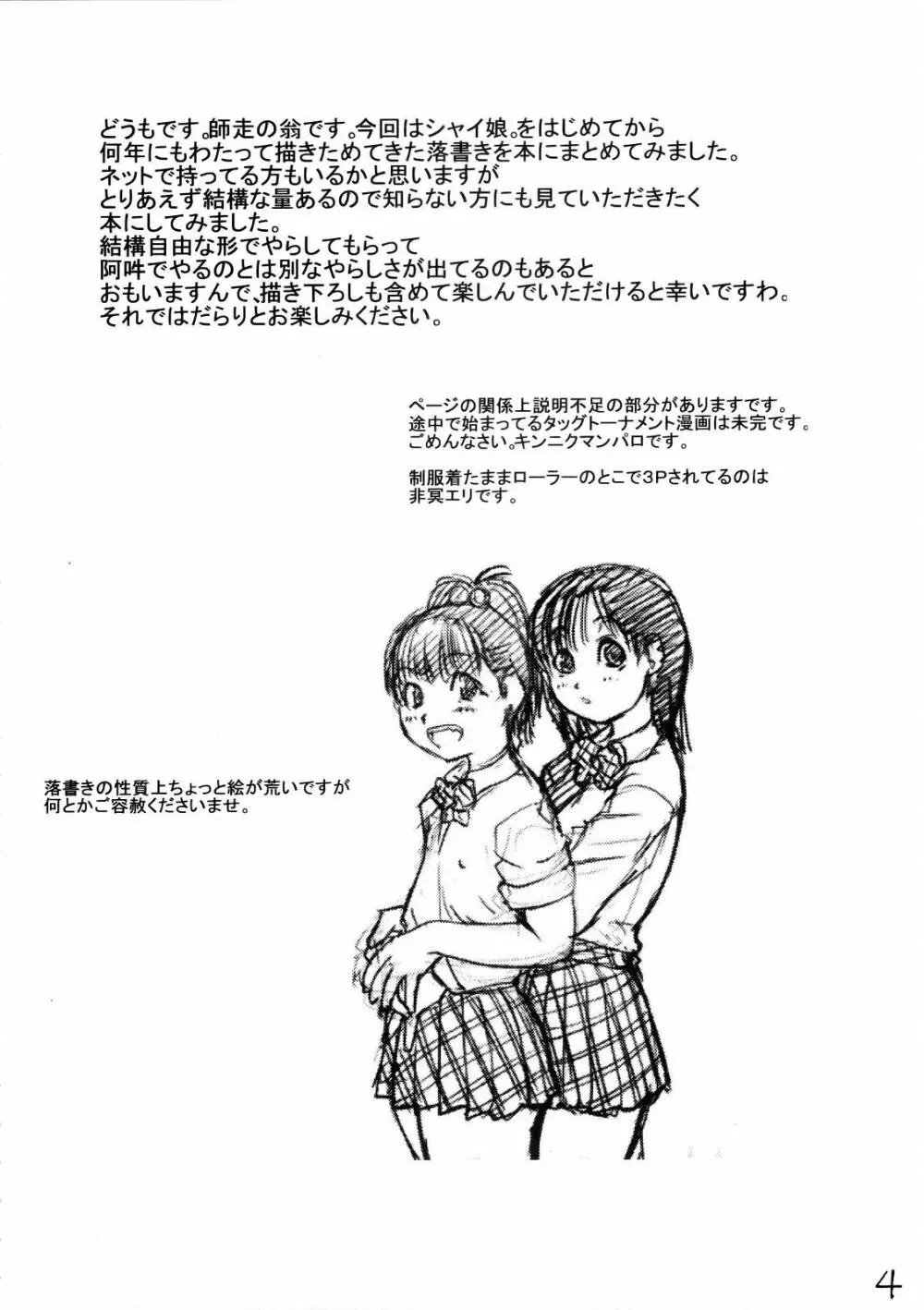 シャイムスラクガキ - page3