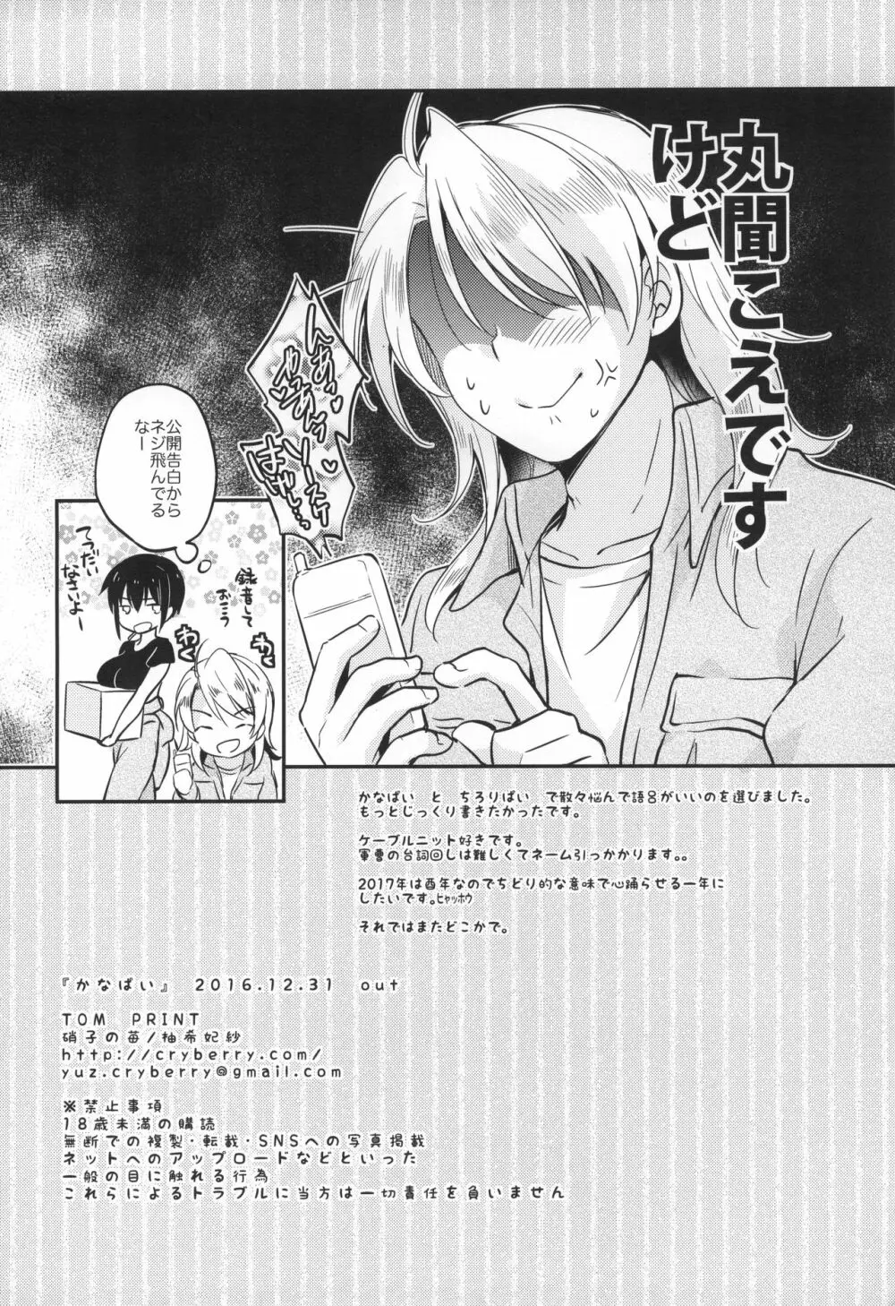 かなぱい - page17