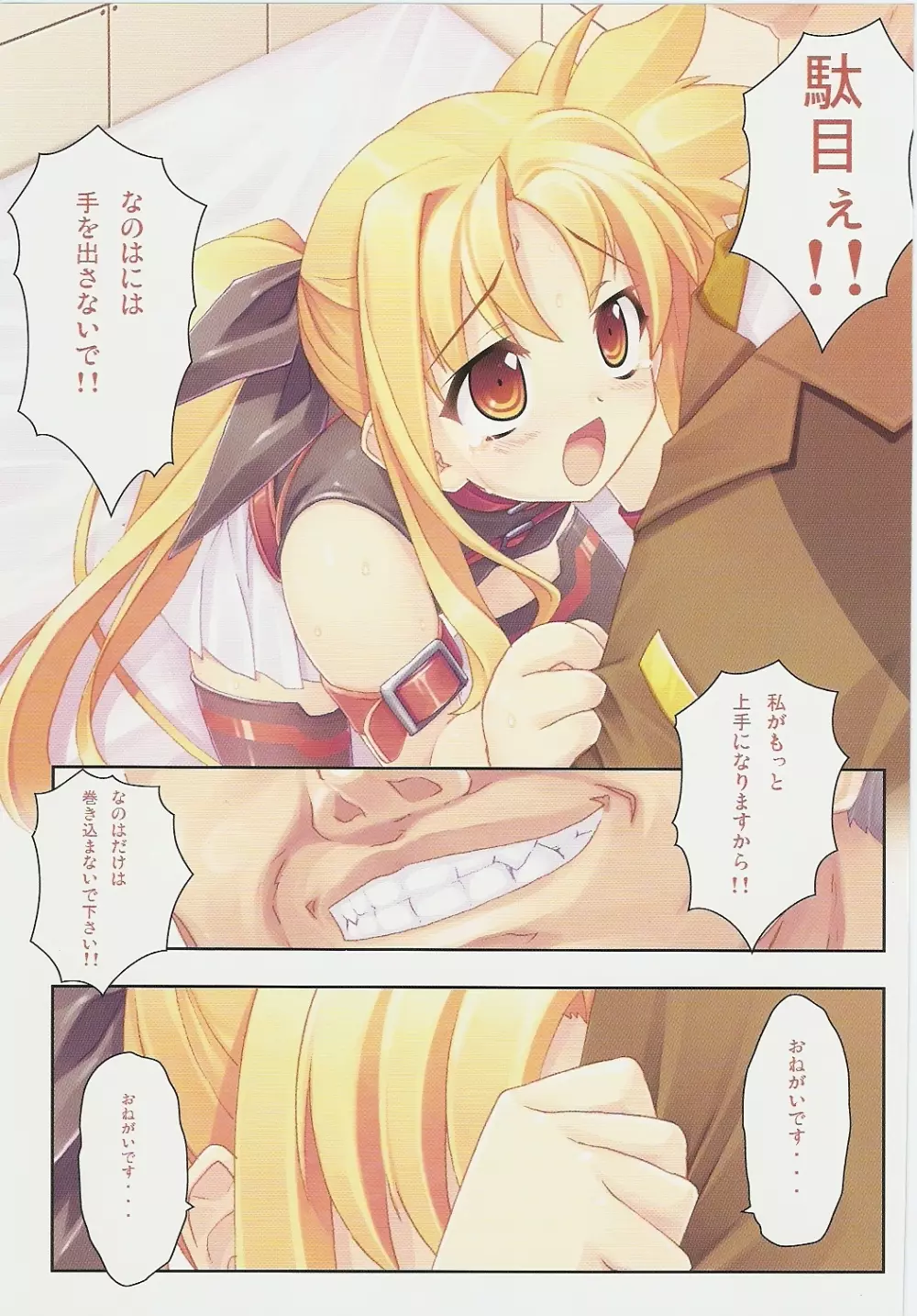 完全調教フェイト式 - page12