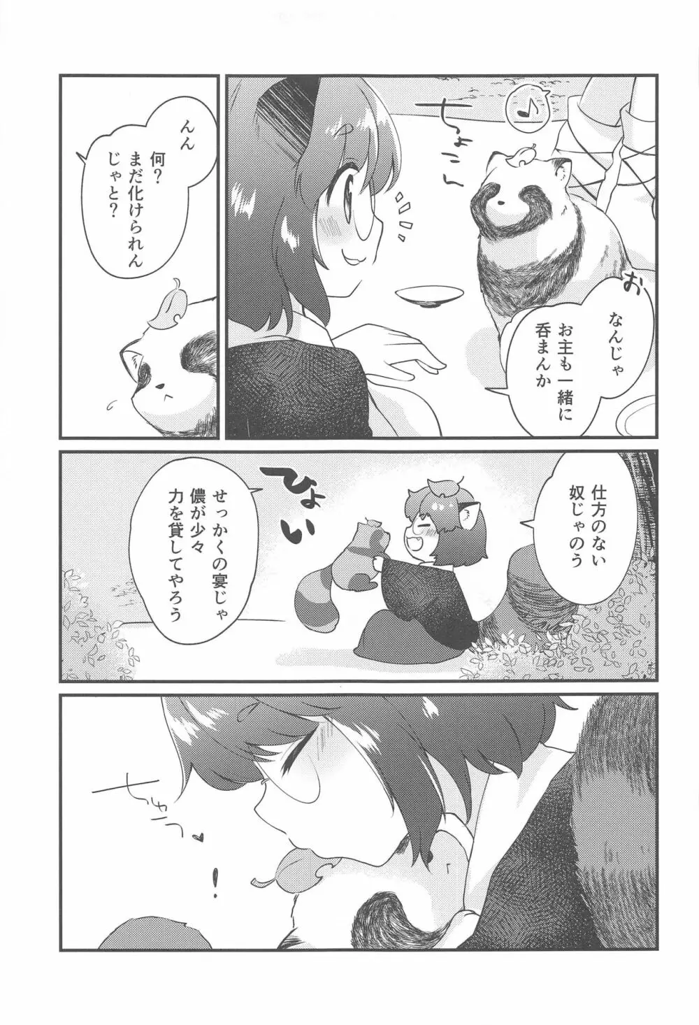 マミゾウさんと仲良くする本 - page4