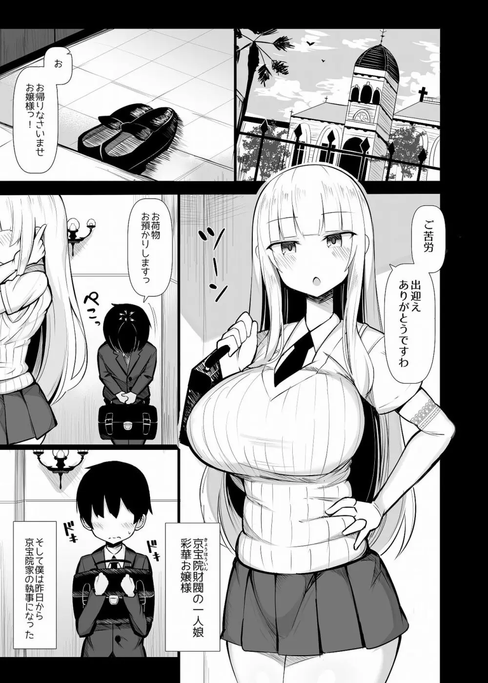 お嬢様に買われたボク - page2